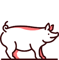 Carne de Cerdo - Profesional