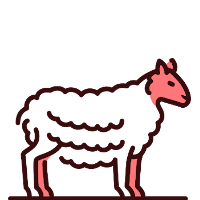 Carne de Cordero y Cabrito - Profesional